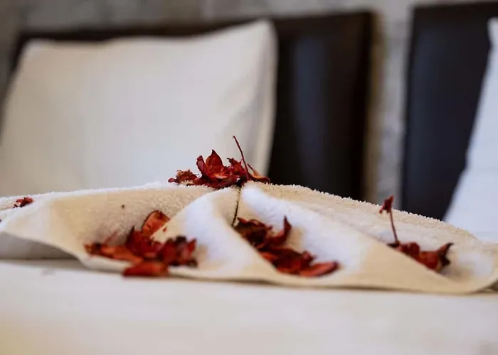 Ikarus Ξενοδοχείο Κουσάντασι